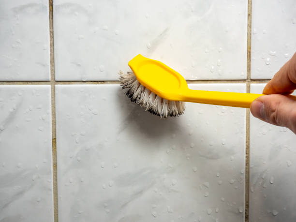 Professional Mold Removal in Lock Haven, PA