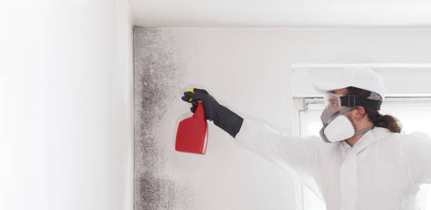 Best Mold Testing  in Lock Haven, PA
